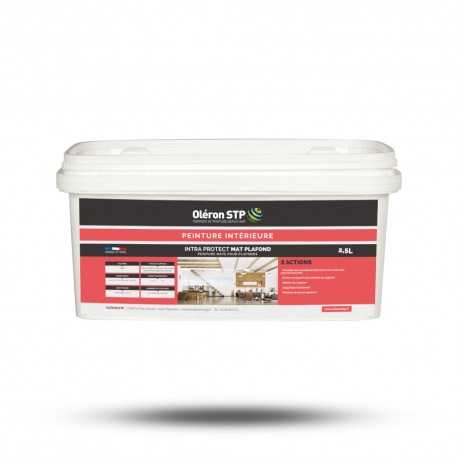 Peinture mate pour plafonds- INTRA PROTECT MAT PLAFOND