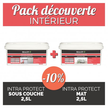 Pack découverte- intérieur - sous couche + peinture mate 2,5L