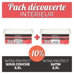 Pack découverte- intérieur - sous couche + peinture satin 2,5L